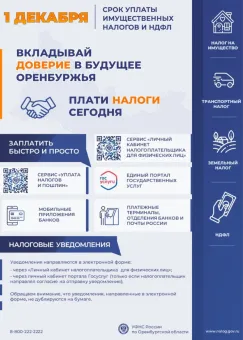 1 декабря - срок уплаты имущественных налогов и НДФЛ
